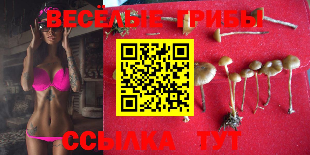 Богданович  Псилоцибиновые грибы ЛСД  Вход с VPN 